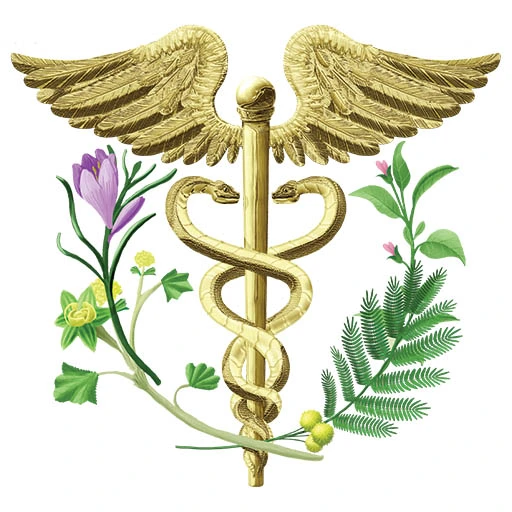 Dr Bahareh Shacoori Boittin